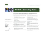 CISCO CCNA1 Networking Basics